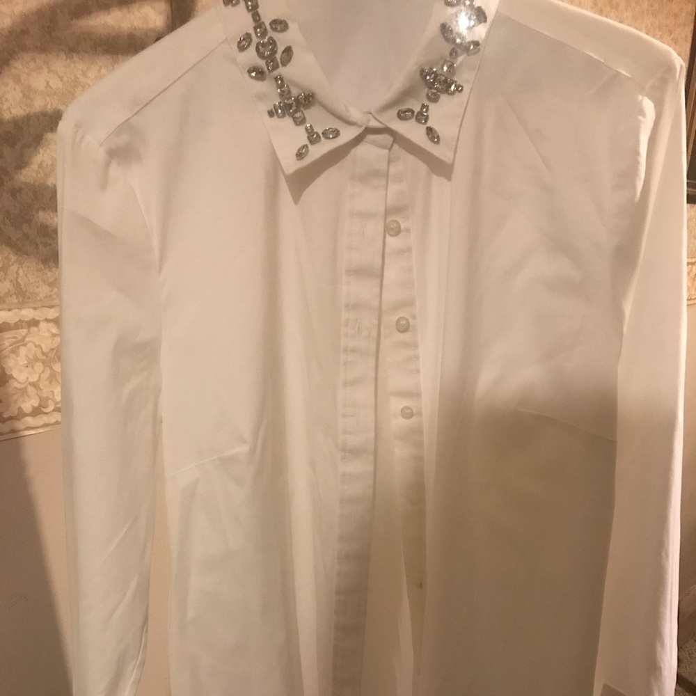 Ann Taylor button down blouse